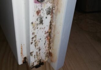 Feuchteschade-Aussentuer-3