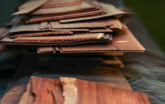 tiger-gmbh-experte-fuer-tueren-home-ueber-karusell-bildgalerie-635x422-61